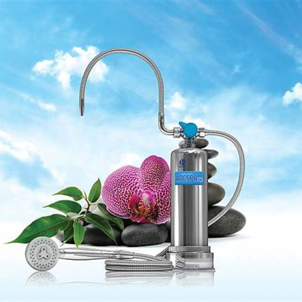 Enagic Anespa DX